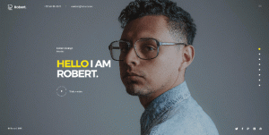 Robert - 创意个人单页模板HTML模板-蟹程序