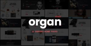 Organ - 创意金融机构HTML5模板-蟹程序