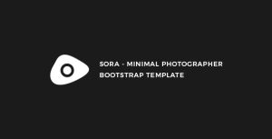 Sora - 极简摄影展示HTML模板-蟹程序