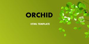 Orchid - 响应式HTML模板-蟹程序