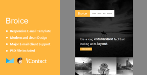 Broice - 响应式电子邮件Themebuilder模板-蟹程序