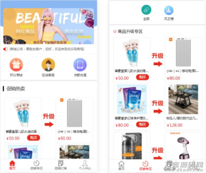 2021-05-29完美版积分商城系统-奇偶商城系统源码+独立代理后台-蟹程序