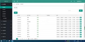 2021-05-102021最新修复支付系统运营版源码-蟹程序