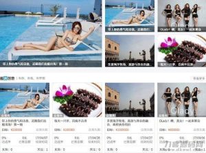 2021-05-10方维众筹V1.71(PC+WAP+完美无限制商业版)-蟹程序