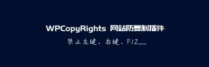 WPCopyRights - 网站防复制WordPress插件-蟹程序