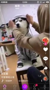 2021-05-10【云豹二开】2021年最新云豹二开完整源码/直播/短视频/带教程/带开发文档-蟹程序