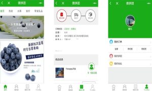 2021-08-23PHP微信拼团购物商城小程序源码-蟹程序
