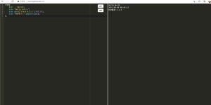 2021-08-09php在线运行调试工具源码-蟹程序