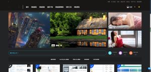 2021-08-08RiPro主题-子主题huzao-child V4.0简洁大气集成后台美化包-蟹程序