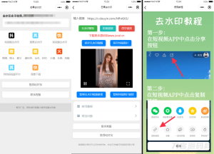 2022-03-26自带多平台解析接口短视频去水印图集水印小程序源码下载-蟹程序