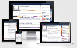 2022-07-11WordPress个人博客主题wp-Concise-v1.0-蟹程序