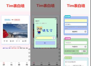2022-07-15TIM校园学校表白墙系统源码-蟹程序