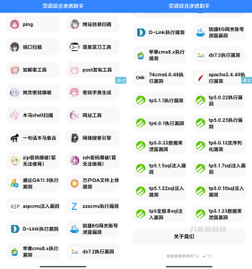 2022-11-12荧惑网站渗透源码 IAPP-蟹程序