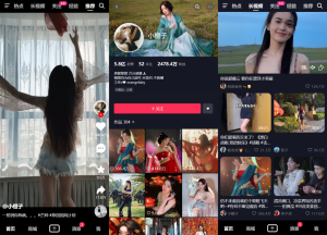 2024-04-03用Vue全家桶手工搓了一个高仿抖音，全开源-蟹程序