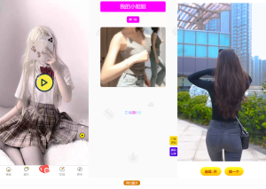 2024-08-07 五套随机小姐姐短视频引流网站源码+最新API-蟹程序