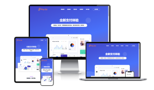 2025-01-162025彩虹易支付前端新模板美化版-蟹程序