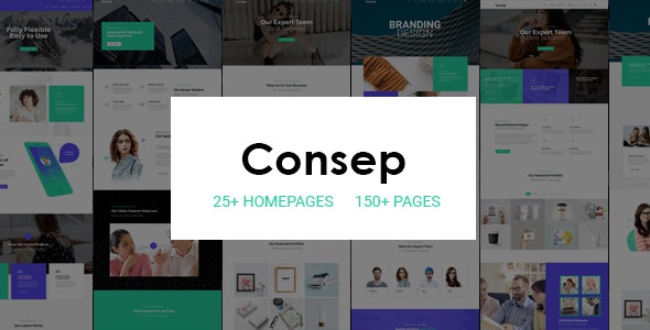 Consep – 响应式多功能HTML5模板-蟹程序