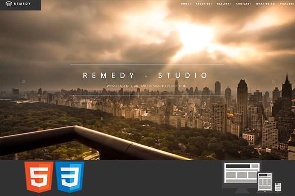 Remedy 单页/多页HTML模板-蟹程序