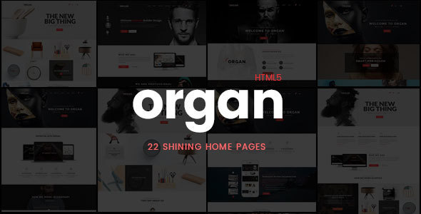 Organ – 创意金融机构HTML5模板-蟹程序