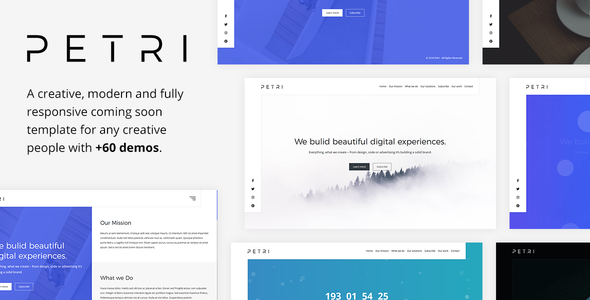 Petri – 创意即将推出HTML模板-蟹程序