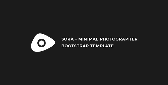 Sora – 极简摄影展示HTML模板-蟹程序