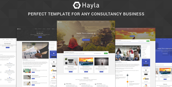 Hayla v1.1 – 咨询业务网站HTML5模板-蟹程序