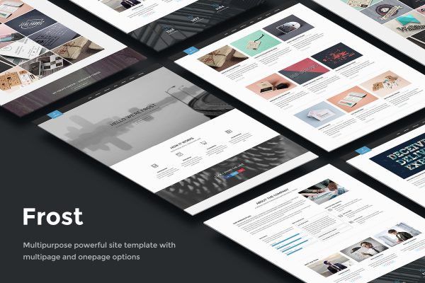 Frost 企业作品展示 html5网站模板-蟹程序