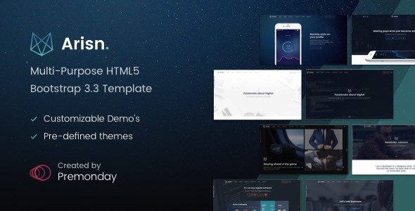 Arisn – 多用途HTML5模板-蟹程序