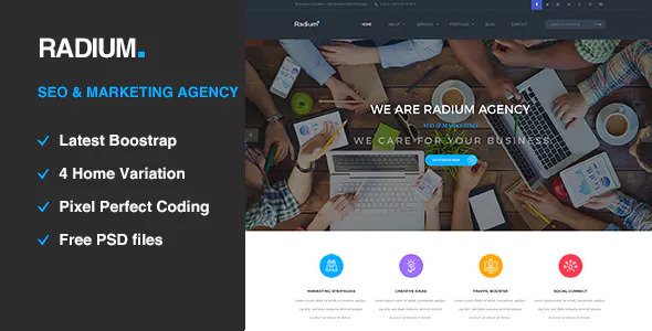 Radium – SEO营销机构HTML5模板-蟹程序