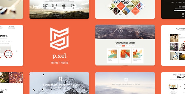 Pixel – 多用途网站HTML模板-蟹程序