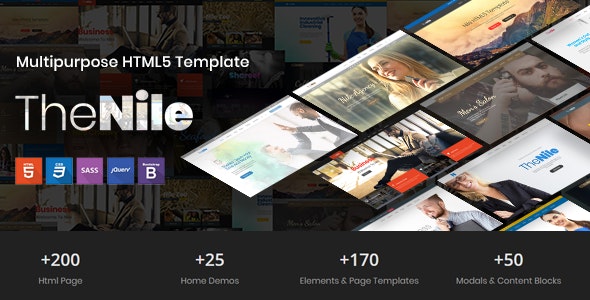 TheNile – 多用途企业网站HTML5模板-蟹程序