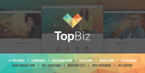 TopBiz – 响应式企业商务网站HTML5模板-蟹程序
