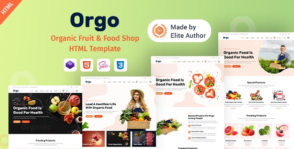 Orgo – 有机食品在线商店网站HTML模板-蟹程序